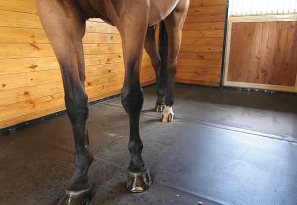 Smooth Top - Equine rubber mat